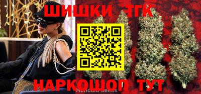 индика Аргун