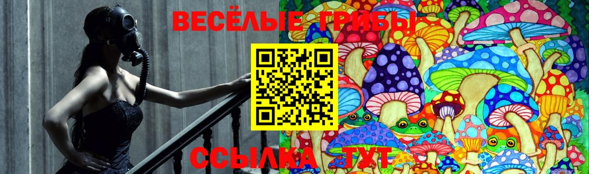 Псилоцибиновые грибы мухоморы Нальчик